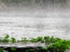 https://www.vecteezy.com/photo/48228457-the-rain-was-falling-on-the-roadway-due-to-a-precipitation-that-was-forming-after-the-depression-hit-thailand-causing-heavy-rains-in-some-areas-and-flooding-the-road-surface