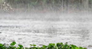 https://www.vecteezy.com/photo/48228457-the-rain-was-falling-on-the-roadway-due-to-a-precipitation-that-was-forming-after-the-depression-hit-thailand-causing-heavy-rains-in-some-areas-and-flooding-the-road-surface