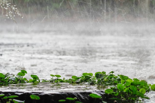 small-vecteezy_the-rain-was-falling-on-the-roadway-due-to-a-precipitation_48228457_small https://www.vecteezy.com/photo/48228457-the-rain-was-falling-on-the-roadway-due-to-a-precipitation-that-was-forming-after-the-depression-hit-thailand-causing-heavy-rains-in-some-areas-and-flooding-the-road-surface