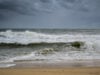 https://www.freepik.com/free-photo/shot-beach-waves-sunshine-coast-queensland-australia_11061937.htm#fromView=search&page=1&position=7&uuid=f030a873-45a1-41dc-aaaf-18e57b997cf4&query=stormy+florida