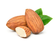 https://www.freepik.com/premium-photo/almonds-isolated-white-background_10319976.htm#fromView=search&page=1&position=17&uuid=e84c7ccc-bc57-463f-b413-8d8698d4a12b&query=almonds