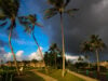 https://www.freepik.com/premium-photo/palm-trees-against-sky_101937620.htm#fromView=search&page=1&position=8&uuid=bab1c876-0fde-462e-b7ac-8fac90fe7392&query=florida+rain+storms