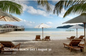 15% Of The People Who Go To The Beach Can’t Swim