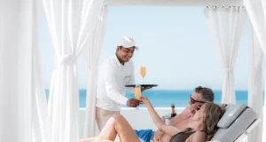 https://www.thepalacecompany.com/about-us