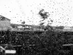 https://www.freepik.com/free-photo/abstract-background-with-raindrops-glass-black-white-photo_27000922.htm#fromView=search&page=1&position=28&uuid=c73a1b76-9c38-4892-95c9-1316992bc19d&query=heavy+rain