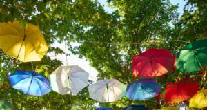 https://www.freepik.com/free-photo/colorful-umbrella-hanging-from-trees_1014078.htm#fromView=search&page=1&position=19&uuid=65b39ef2-7b99-4fb4-80fc-f58e9445c91b&query=umbrellsa
