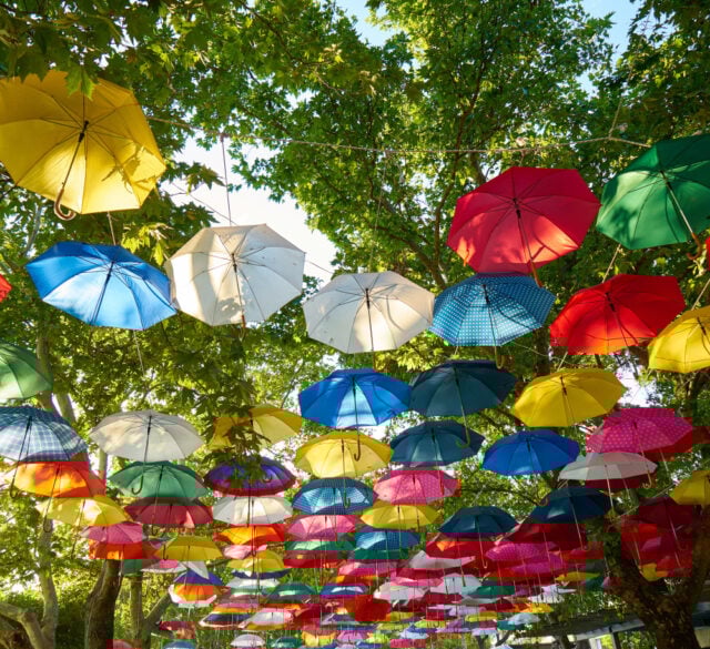 1279 https://www.freepik.com/free-photo/colorful-umbrella-hanging-from-trees_1014078.htm#fromView=search&page=1&position=19&uuid=65b39ef2-7b99-4fb4-80fc-f58e9445c91b&query=umbrellsa