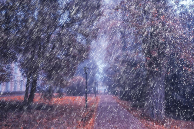 21760 https://www.freepik.com/premium-photo/autumn-rain-park-autumn-landscape-weather-rain-fall-leaves-october-city-park_29166679.htm#fromView=search&page=1&position=45&uuid=59c8145d-c96e-4ef4-bb1d-dacf394fb4d8&query=heavy+rain