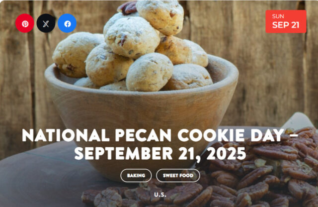 Pecan cookie