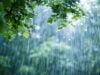 https://www.vecteezy.com/photo/42146565-ai-generated-beautiful-rain-day-view