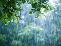 https://www.vecteezy.com/photo/42146565-ai-generated-beautiful-rain-day-view