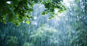 https://www.vecteezy.com/photo/42146565-ai-generated-beautiful-rain-day-view