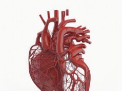 https://www.vecteezy.com/photo/22875819-red-color-human-heart-wireframe-on-white-background