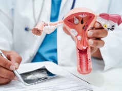 https://www.vecteezy.com/photo/61951496-uterus-asian-woman-holding-human-anatomy-model