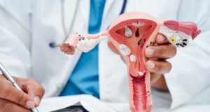 https://www.vecteezy.com/photo/61951496-uterus-asian-woman-holding-human-anatomy-model