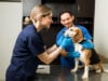 https://www.freepik.com/free-photo/happy-female-vet-smiling-petting-beautiful-beagle-dog-exam-table-professional-veterinarian-man-holding-pet-while-examining-healthy-pet-clinic_27999717.htm#fromView=search&page=1&position=6&uuid=3383d026-59c1-430a-a605-81451f154d48&query=veterinarian+
