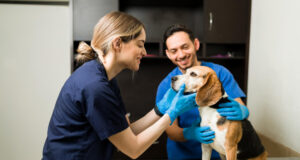 https://www.freepik.com/free-photo/happy-female-vet-smiling-petting-beautiful-beagle-dog-exam-table-professional-veterinarian-man-holding-pet-while-examining-healthy-pet-clinic_27999717.htm#fromView=search&page=1&position=6&uuid=3383d026-59c1-430a-a605-81451f154d48&query=veterinarian+