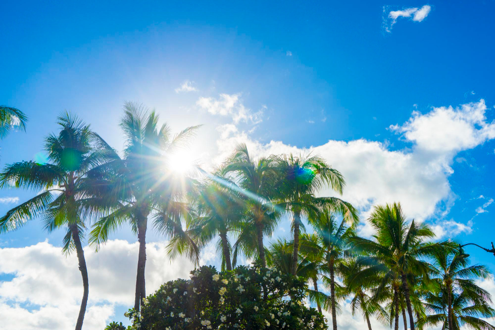 Sunny in South Florida, But We're Watching the Tropics - South Florida ...