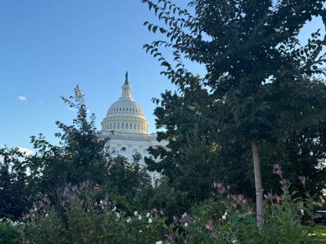 Capitol
