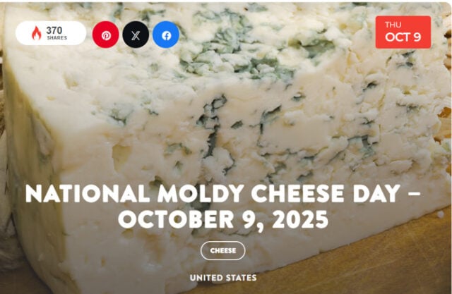 Moldy cheese