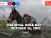 George Washington Was Among The First To Breed Mules In The U.S.