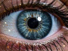 https://www.vecteezy.com/photo/70869798-close-up-of-human-eye-with-blue-iris-and-eyelashes