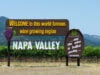 A New Vintage for Charles Krug: How Angelina Mondavi Is Redefining a Napa Valley Legacy
