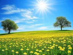 https://www.vecteezy.com/photo/60507717-a-vibrant-landscape-featuring-two-trees-and-a-field-of-dandelions-under-a-bright-sky