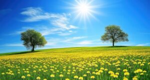 https://www.vecteezy.com/photo/60507717-a-vibrant-landscape-featuring-two-trees-and-a-field-of-dandelions-under-a-bright-sky