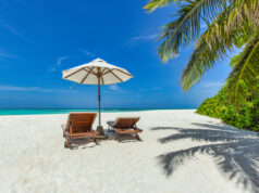 https://www.vecteezy.com/photo/14001075-beautiful-tropical-landscape-couple-chairs-sun-beds-umbrella-under-palm-leaves-summer-background-exotic-travel-beach-sunny-day-paradise-coast-amazing-landscape-sea-sand-sky-relax-resort-vacation