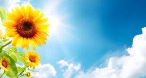 https://www.vecteezy.com/photo/67072685-bright-sunny-day-sunflowers-blue-sky-clouds-background