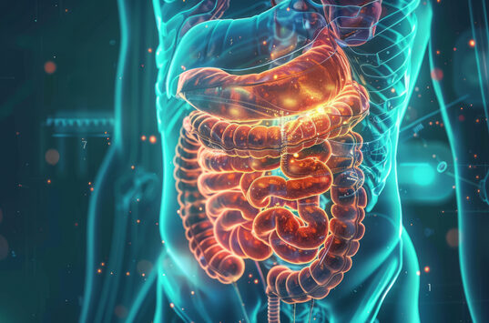 https://www.vecteezy.com/photo/52117235-person-internal-organs-stomach-and-intestines-anatomy-gastroenterology-concept-close-up