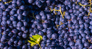https://www.vecteezy.com/photo/45596666-vegan-foods-concept-ripe-blue-grapes-in-full-frame-view