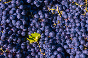 https://www.vecteezy.com/photo/45596666-vegan-foods-concept-ripe-blue-grapes-in-full-frame-view