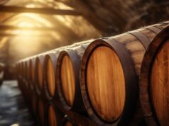 https://www.vecteezy.com/photo/59242522-wine-cellar-with-wooden-barrels-aging-in-warm-sunlight