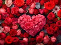 https://www.vecteezy.com/photo/30633426-a-close-up-shot-capturing-the-vibrant-colors-of-fresh-valentine-s-day-flowers-like-red-roses-and-tulips-against-a-textured-floral-themed-backdrop-ai-generated