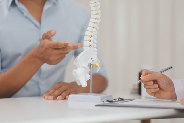 https://www.vecteezy.com/photo/49307100-orthopedists-holding-digital-tablet-and-pointing-at-model-concept-of-osteoporosis-back-pain-lumbar-chiropractic-and-health