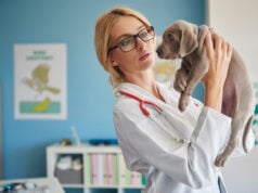 5 Pet Treatment Claims in Florida That Are Frequently and Wrongly Denied https://www.freepik.com/free-photo/doctor-looking-pet-closely_12428660.htm#fromView=search&page=1&position=4&uuid=c922d5ef-6a82-45ec-ad88-0a55f7e4cfae&query=pet+doctor
