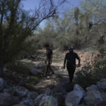 Savannah Guthrie Mom Missing