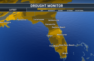 Florida Parched as Historic Drought Grips 99% of State Following Months of Record Rainfall Deficits