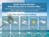 South Florida Weather: From Breezy Surf to Sunshine Bliss