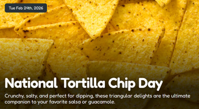 Torilla Chip