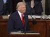 Trump Proclaims ‘Golden Age’ in 2026 State of the Union While Facing Judicial and Economic Headwinds (Video)
