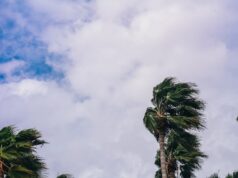 Impact Windows vs. Insurance Premiums: What Homeowners Should Know Now Photo by Sean Foster on Unsplash