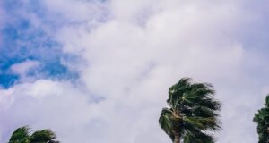 Photo by Sean Foster on Unsplash