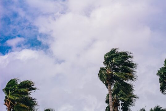 Photo by Sean Foster on Unsplash