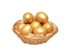 https://www.freepik.com/free-photo/concept-wealth-retirement-golden-eggs-isolated-white-background_40651748.htm#fromView=search&page=1&position=19&uuid=16b11bb5-4b06-4547-8101-325faacede7e&query=gold+nest+eggs