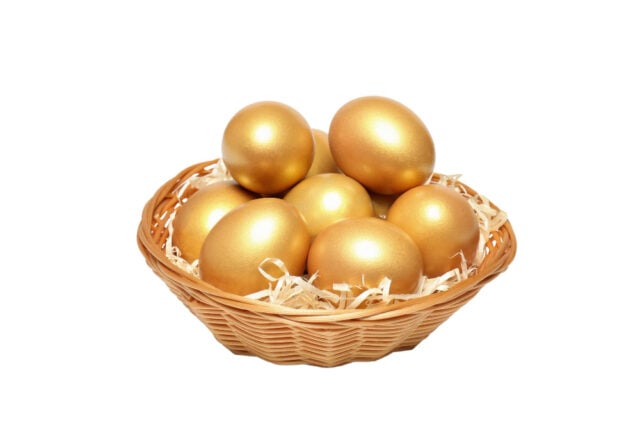 https://www.freepik.com/free-photo/concept-wealth-retirement-golden-eggs-isolated-white-background_40651748.htm#fromView=search&page=1&position=19&uuid=16b11bb5-4b06-4547-8101-325faacede7e&query=gold+nest+eggs