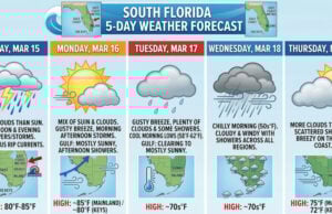 South Florida Braces For A Stormy Sunday Followed By A Midweek Cooling Trend Across The Entire Sunshine State
