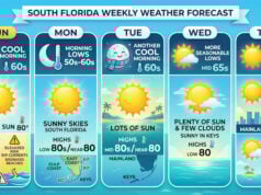 South Florida To Experience Sun-Drenched Days and Refreshing Mornings